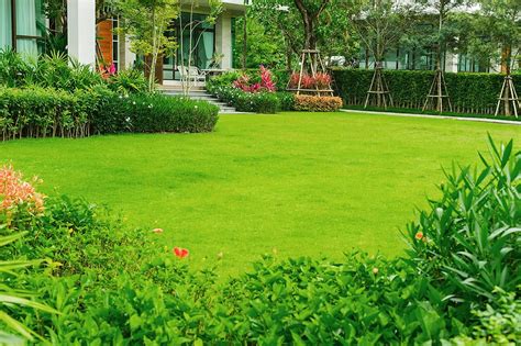 Achieve a Lawn of Your Dreams with These Magical Lawn Care Secrets